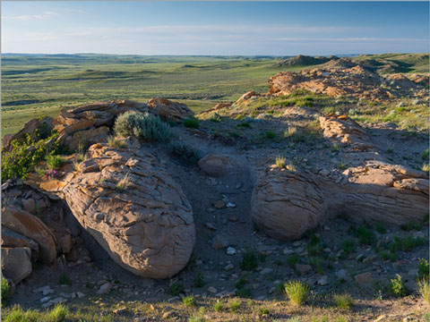 DIAMOND B RANCH | Big Wyoming Land