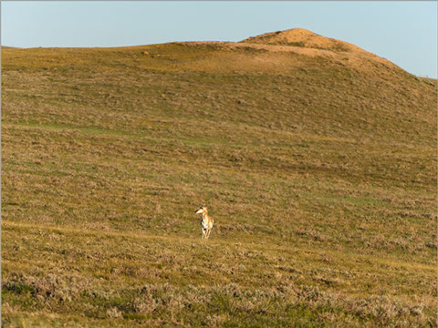 DIAMOND B RANCH | Big Wyoming Land