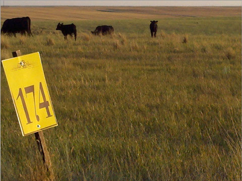 DIAMOND B RANCH WYOMING | BIG WYOMING LAND