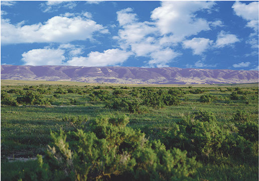 BB BROOKS RANCH | Big Wyoming Land